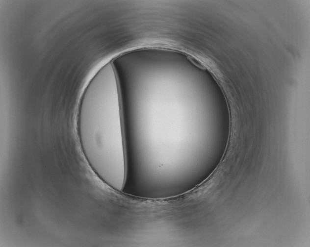 X0000110680912200906121032