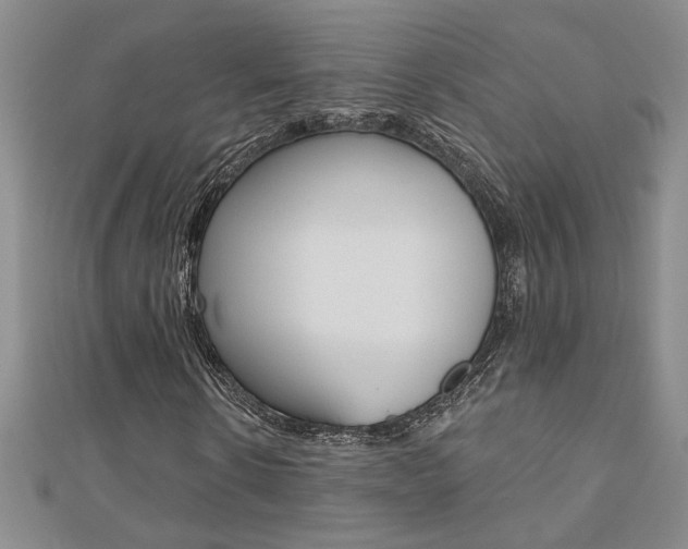 X0000110680914200906121032