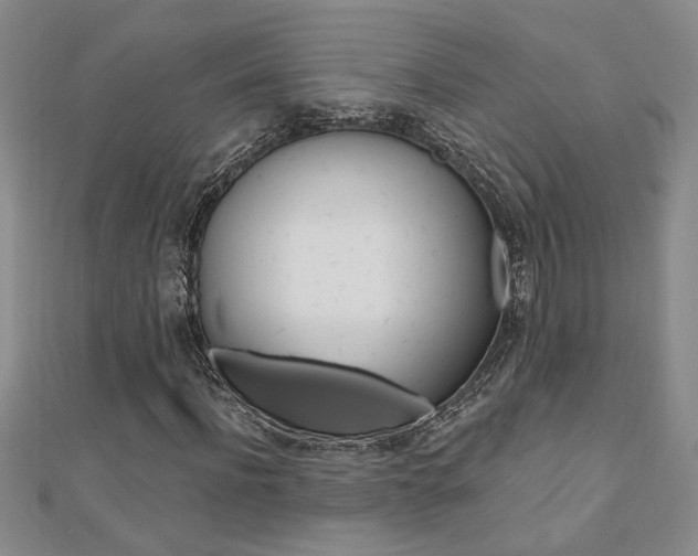 X0000110680916200906121032