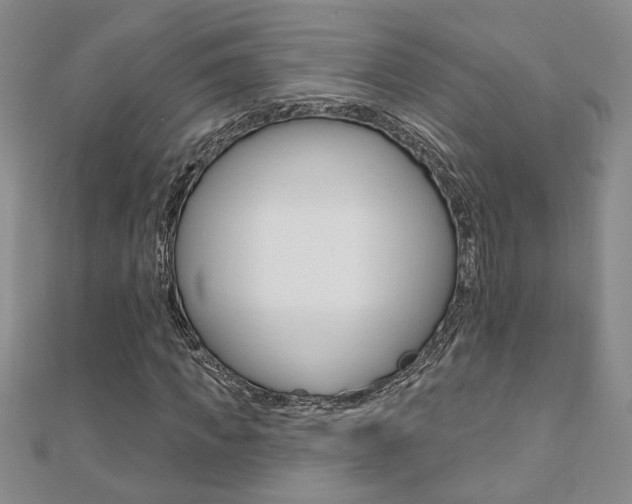 X0000110680917200906121032