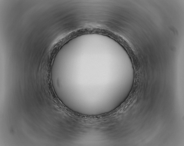 X0000110680919200906121032