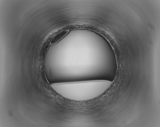 X0000110680920200906121032