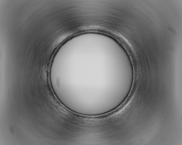 X0000110680921200906121032