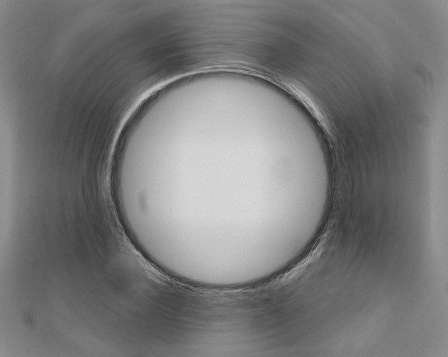 X0000110680924200906121032