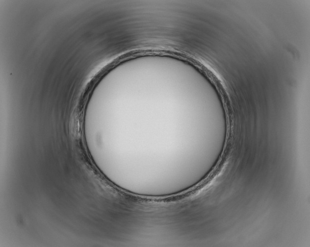 X0000110680925200906121032