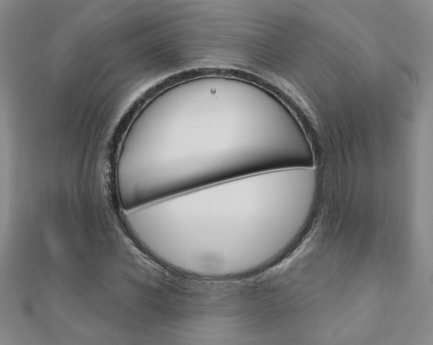 X0000110680926200906121032