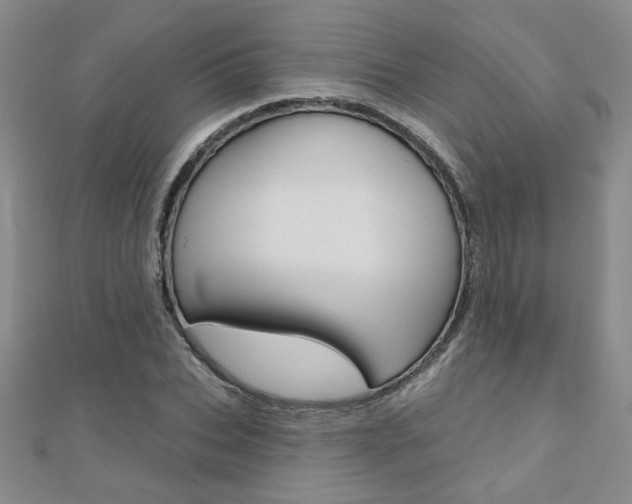 X0000110680927200906121032