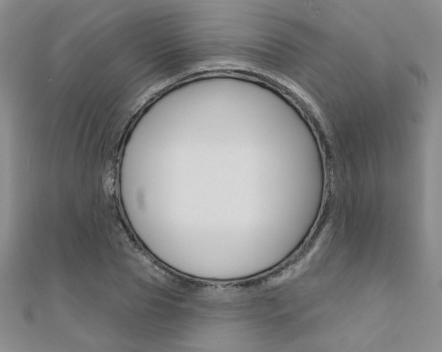 X0000110680929200906121032