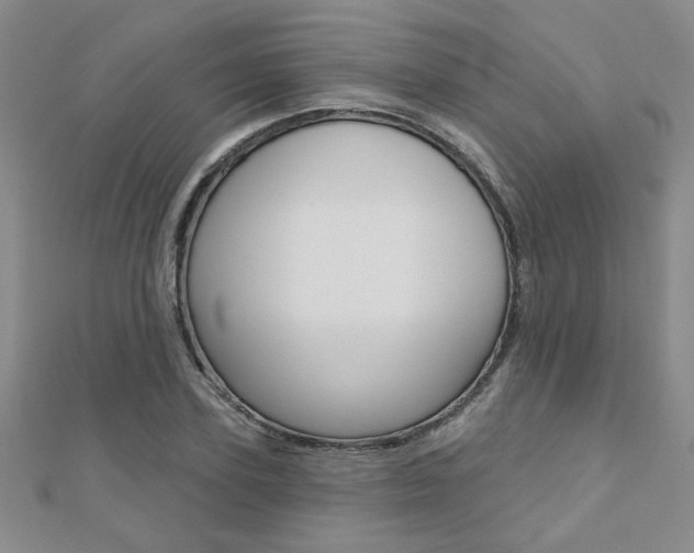 X0000110680931200906121032