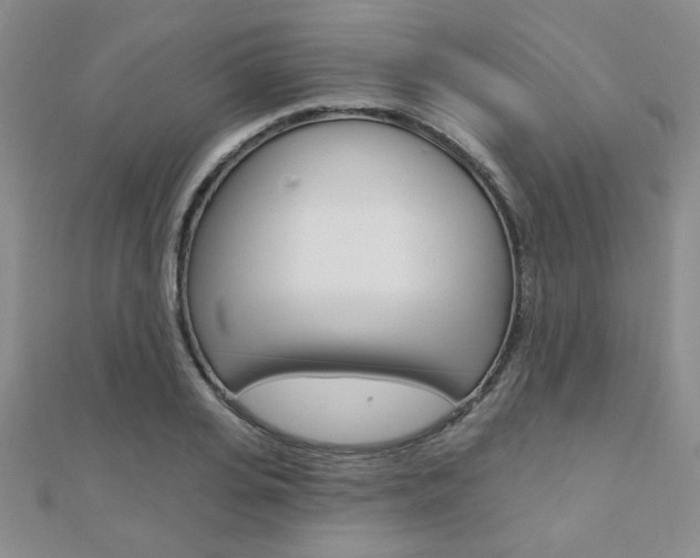 X0000110680935200906121032