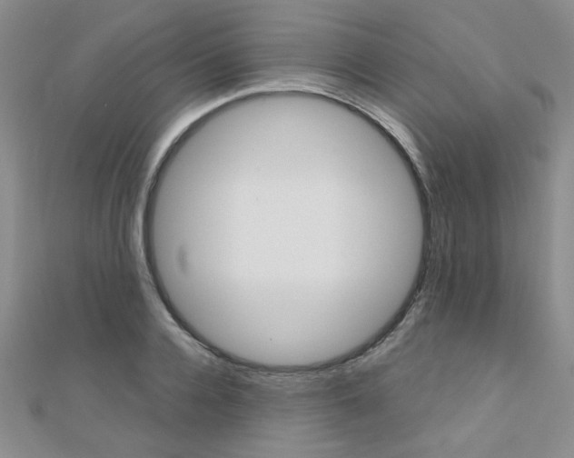 X0000110680936200906121032