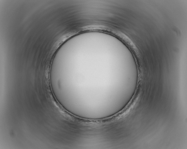 X0000110680937200906121032