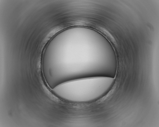 X0000110680938200906121032