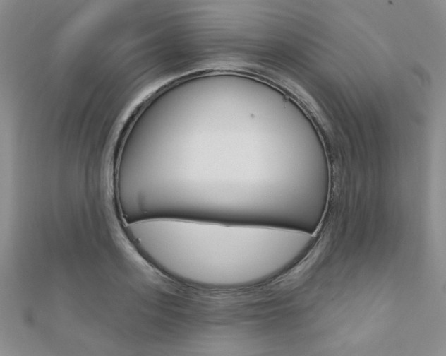 X0000110680939200906121032