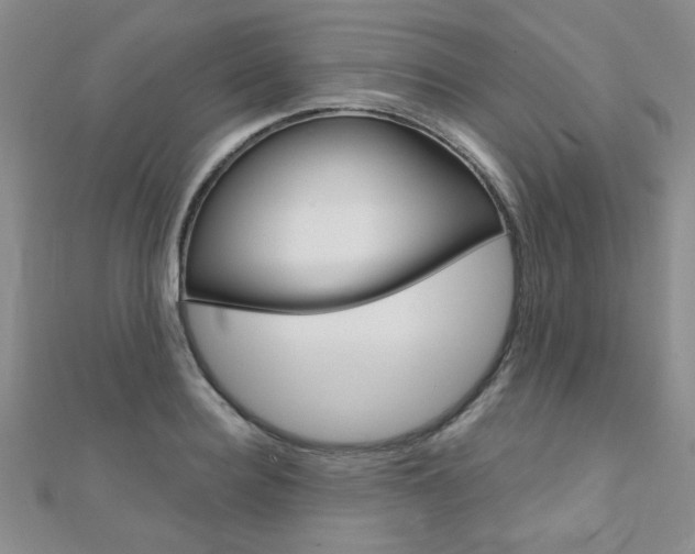 X0000110680940200906121032