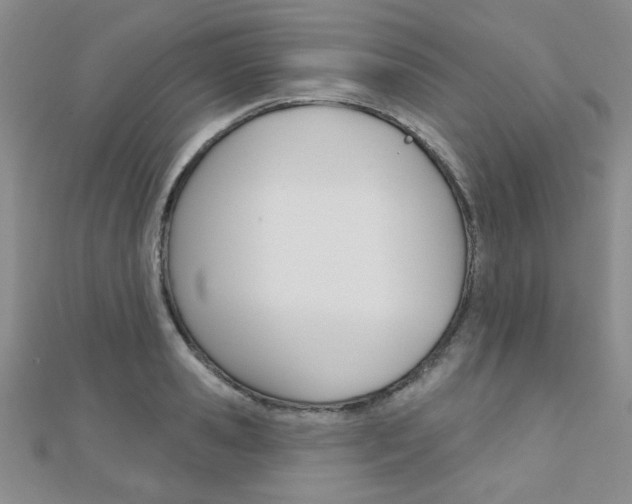 X0000110680941200906121032