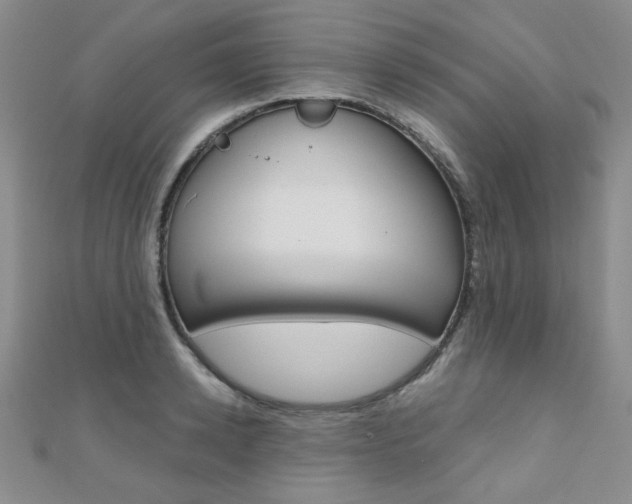 X0000110680942200906121032
