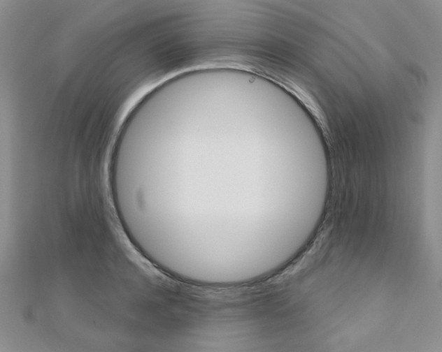 X0000110680944200906121032