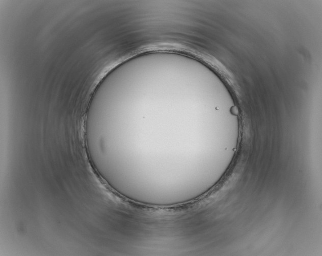X0000110680945200906121032
