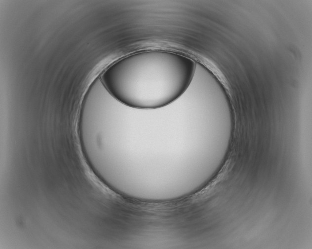 X0000110680946200906121032