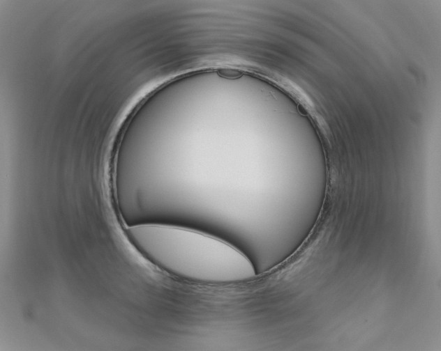 X0000110680947200906121032