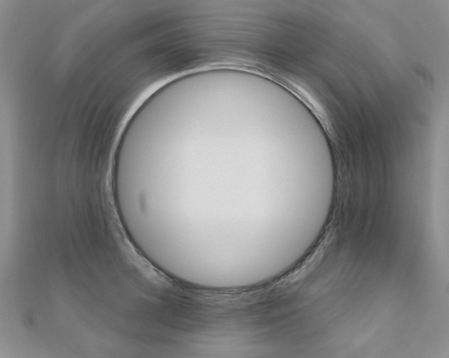 X0000110680948200906121032