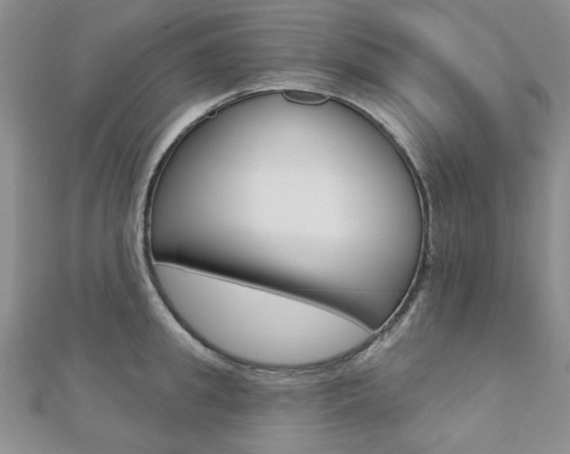 X0000110680949200906121032