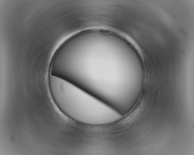 X0000110680951200906121032