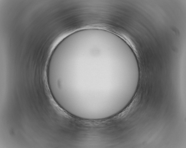X0000110680952200906121032