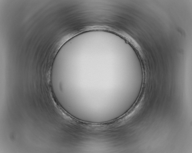 X0000110680953200906121032