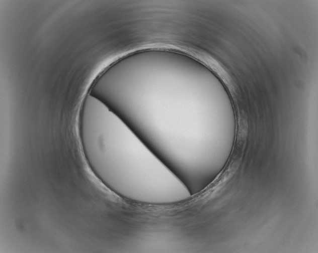 X0000110680958200906121032