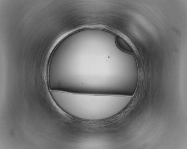 X0000110680959200906121032
