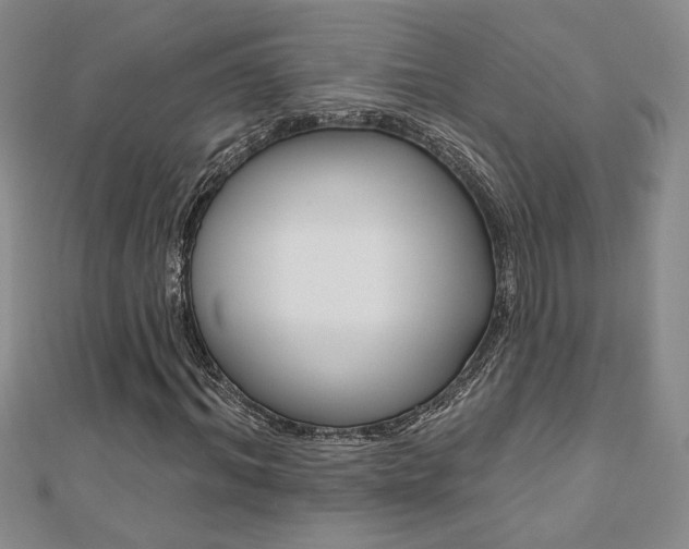 X0000110680964200906121032
