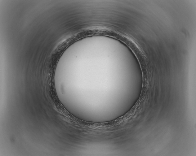X0000110680967200906121032