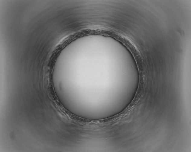 X0000110680968200906121032