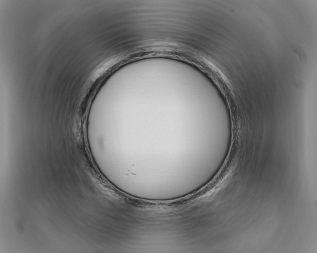 X0000110680970200906121032
