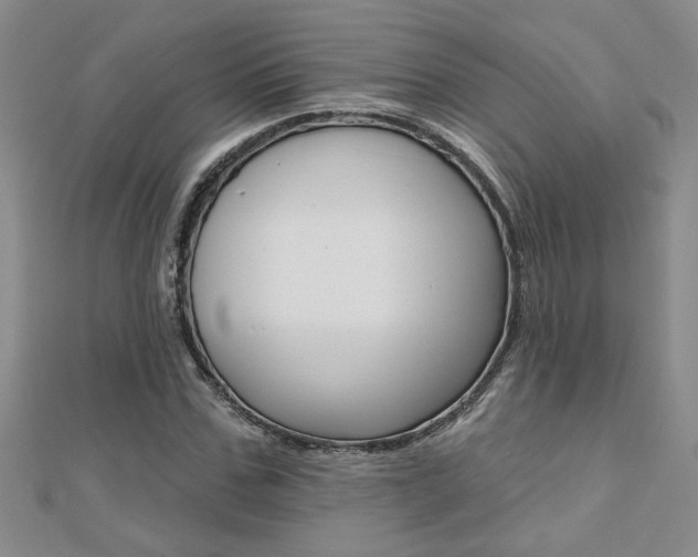X0000110680971200906121032
