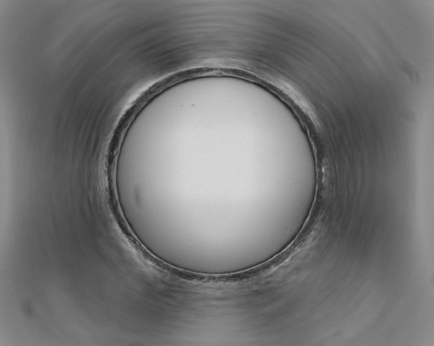 X0000110680972200906121032