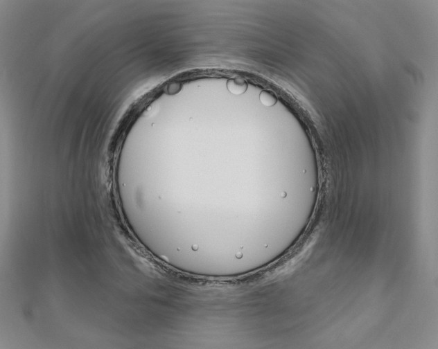 X0000110680974200906121031