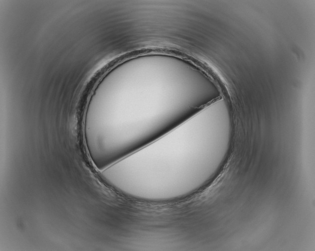 X0000110680975200906121031