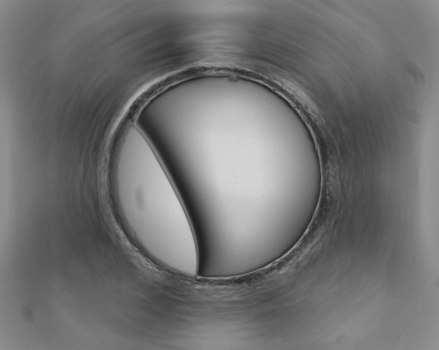 X0000110680976200906121031