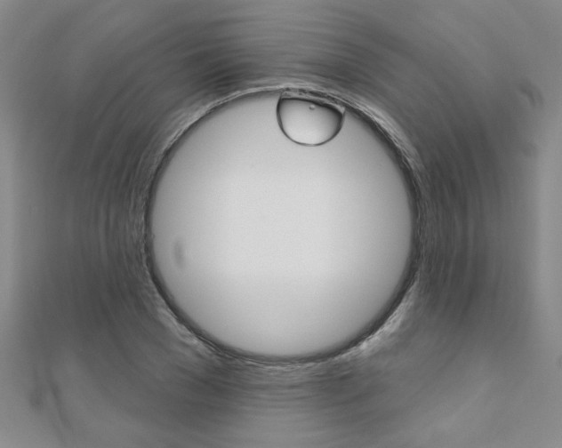 X0000110680977200906121031