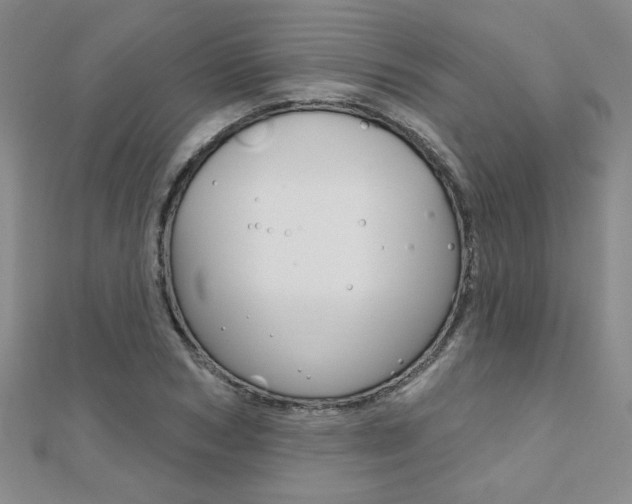 X0000110680978200906121031