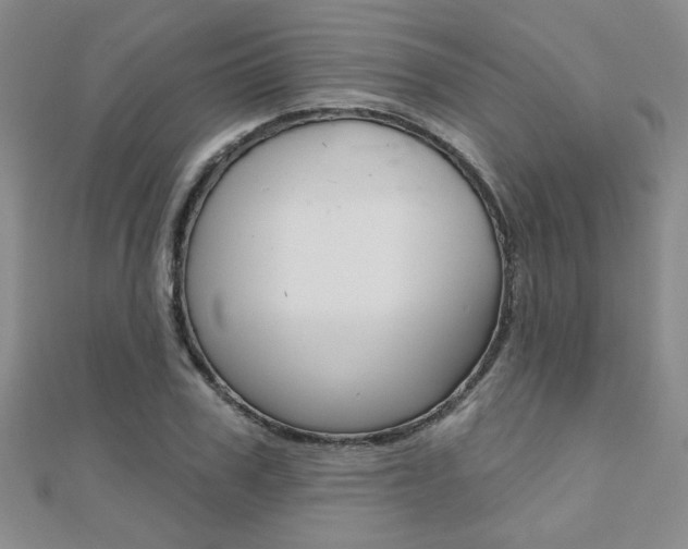 X0000110680979200906121031