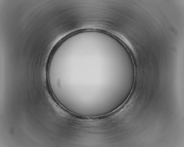 X0000110680980200906121031