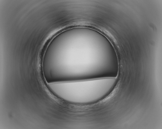 X0000110680981200906121031