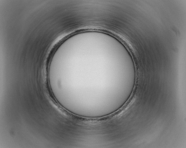 X0000110680982200906121031