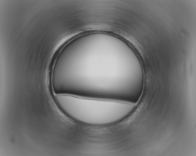 X0000110680983200906121031
