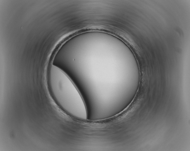 X0000110680984200906121031
