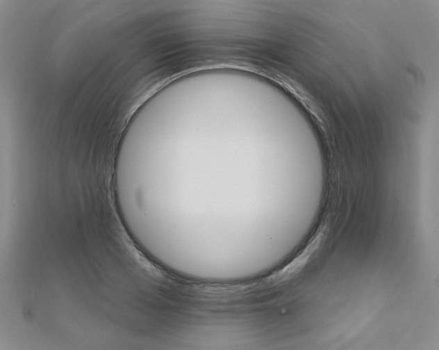 X0000110680985200906121031